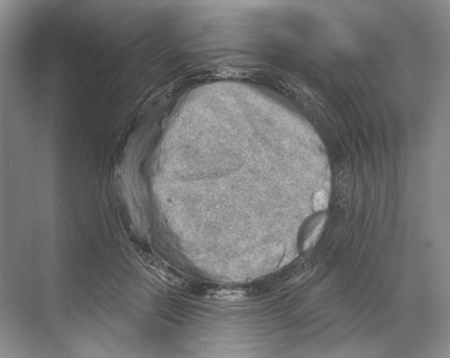 X0000068850554200606021737