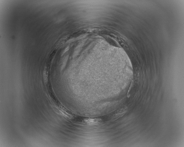 X0000068850558200606021737