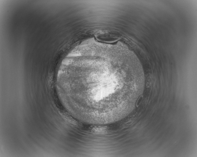 X0000068850560200606021738