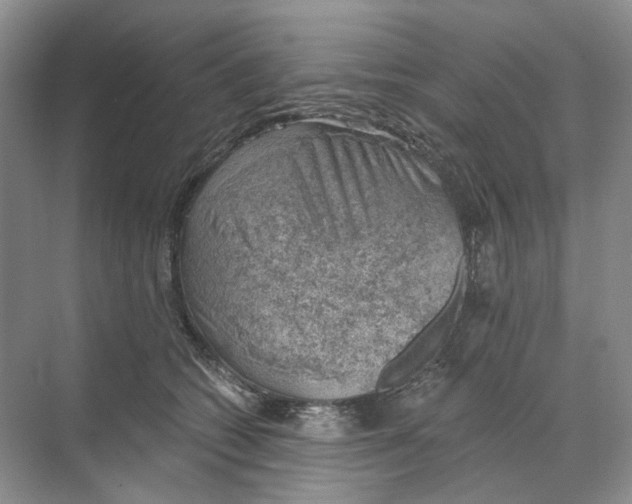 X0000068850562200606021738