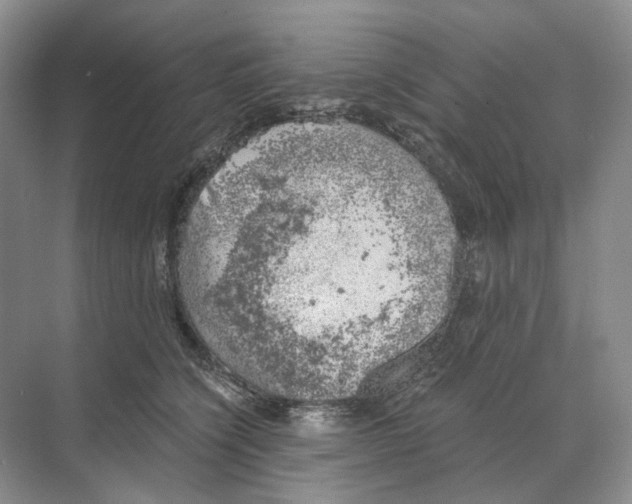 X0000068850564200606021738
