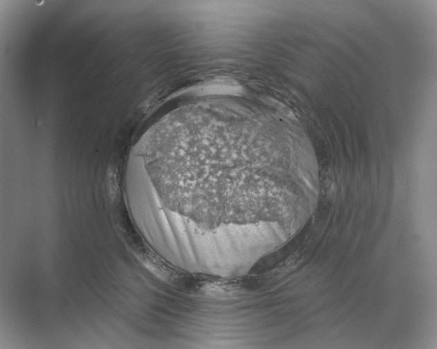 X0000068850568200606021738