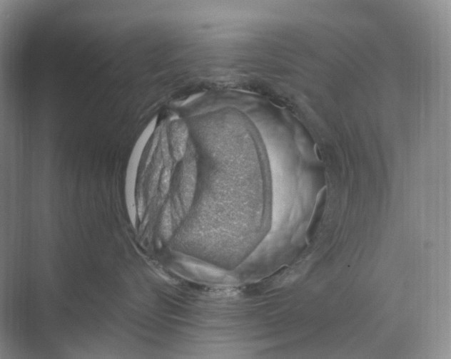 X0000068850576200606021738