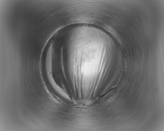 X0000068850580200606021737