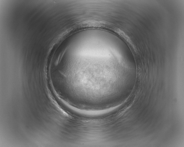 X0000068850581200606021737