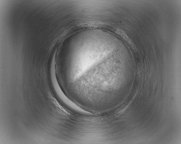 X0000068850585200606021737