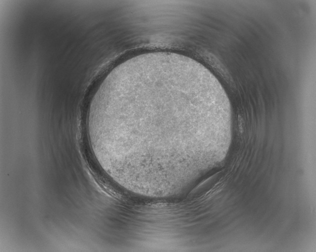 X0000068850588200606021737