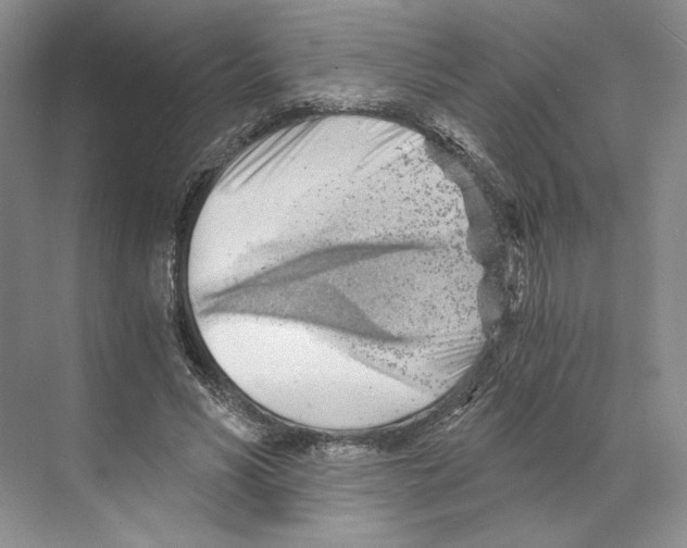 X0000068850590200606021737