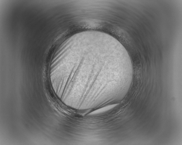 X0000068850591200606021737