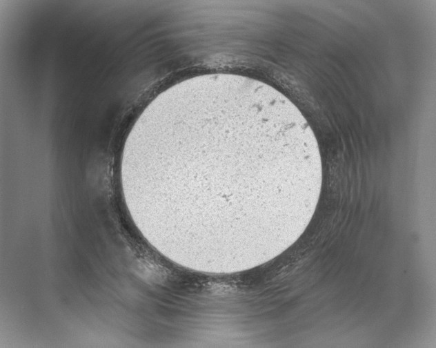 X0000068850592200606021737