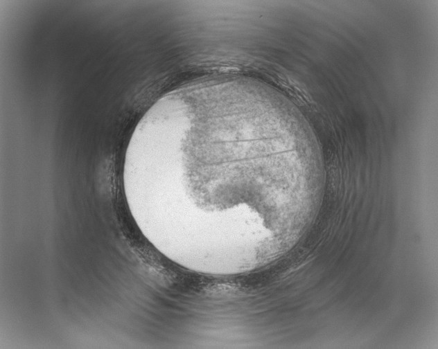 X0000068850594200606021737