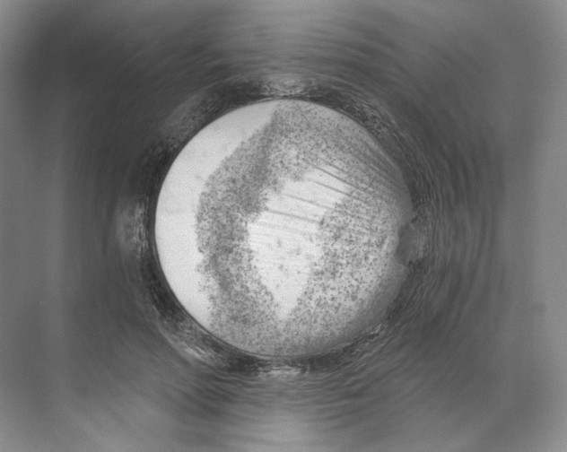 X0000068850598200606021737