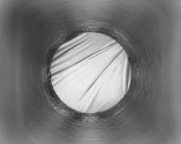 X0000068850599200606021737
