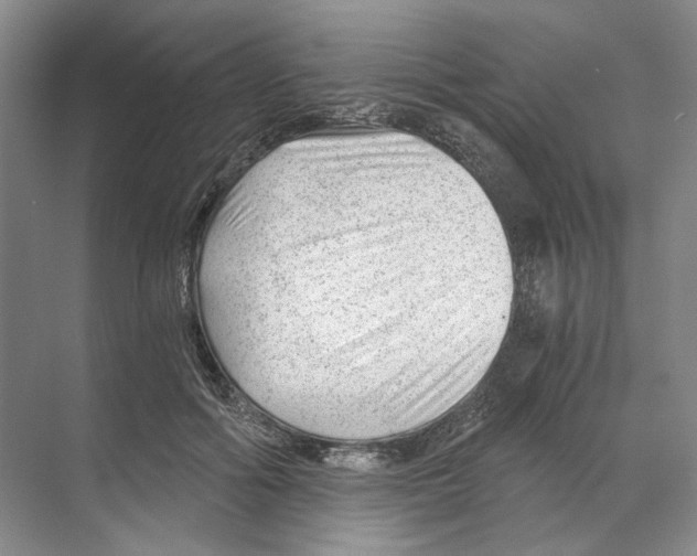 X0000068850602200606021737