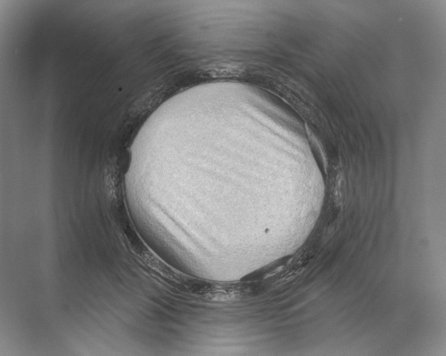 X0000068850604200606021737