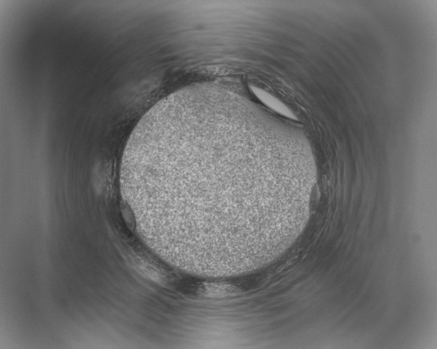 X0000068850605200606021737