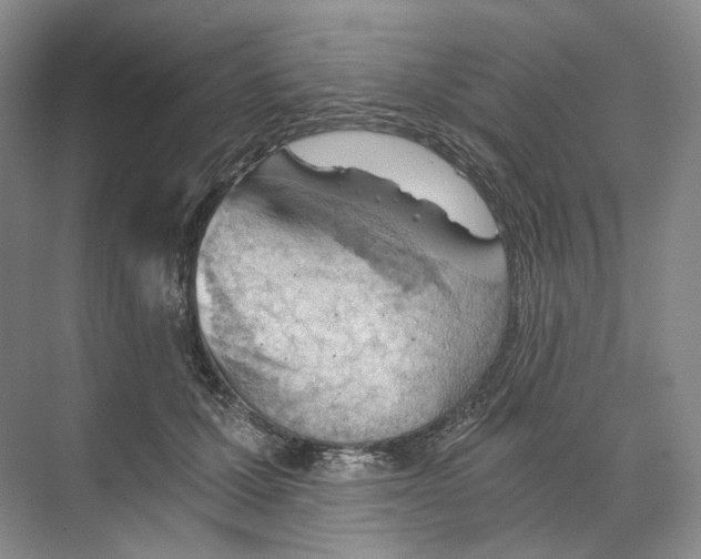 X0000068850607200606021736
