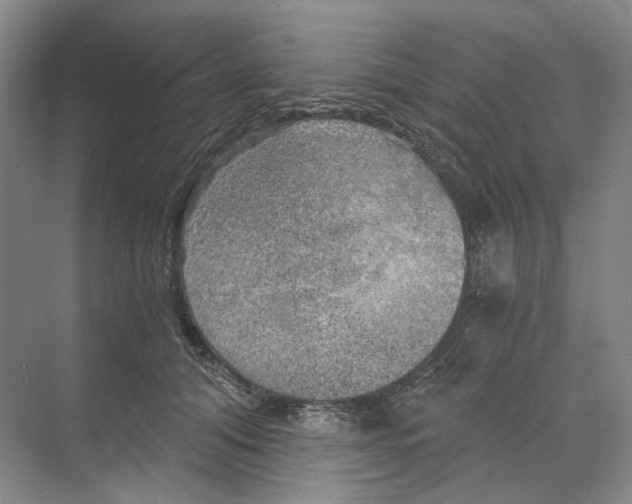X0000068850608200606021736