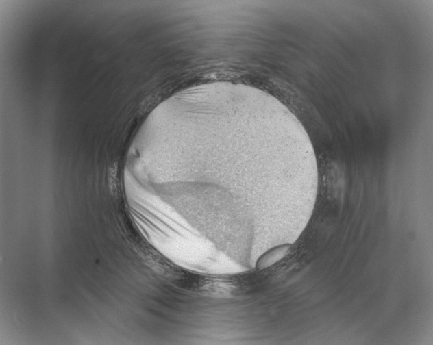 X0000068850610200606021736