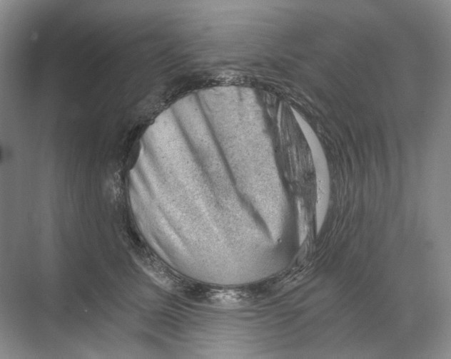 X0000068850611200606021736