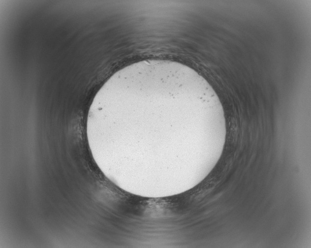 X0000068850612200606021736