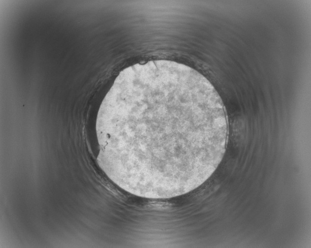 X0000068850617200606021736