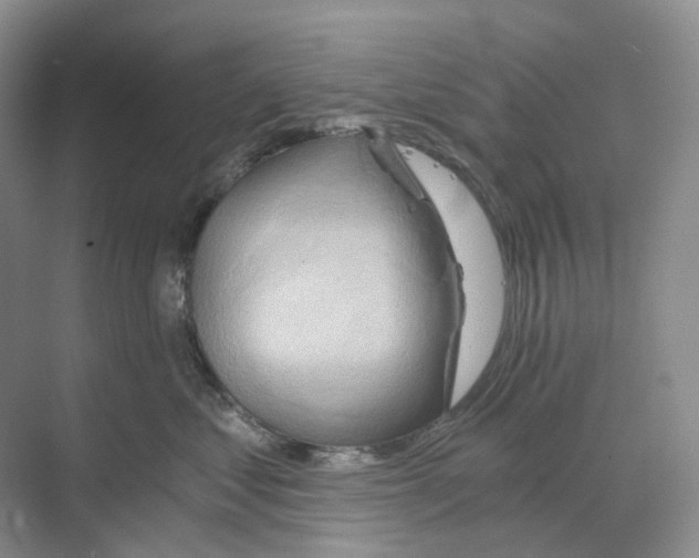 X0000068850621200606021736