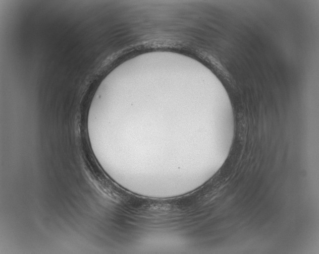 X0000068850631200606021735