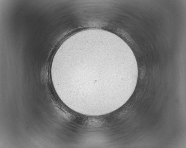 X0000068850632200606021736