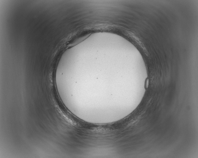 X0000068850633200606021736