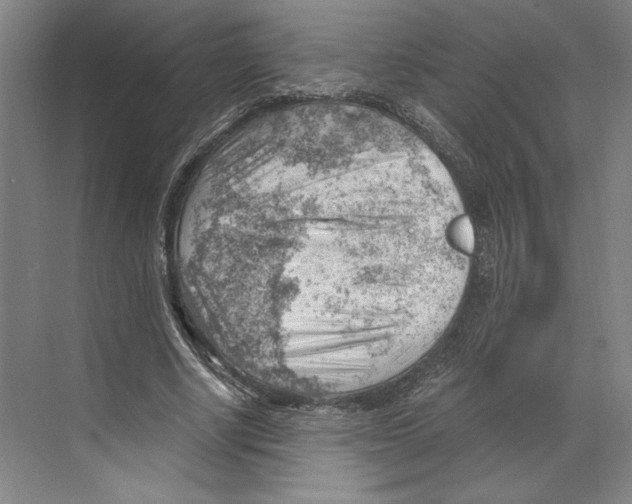 X0000068850634200606021736