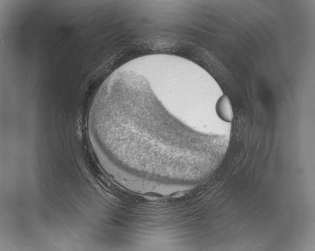 X0000068850644200606021736