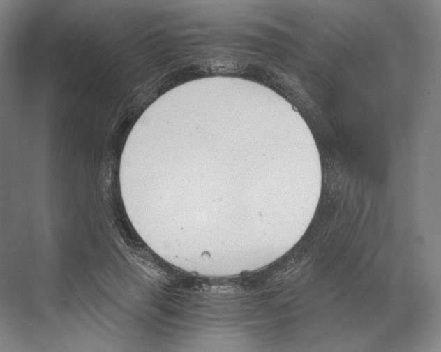 X0000068850645200606021736