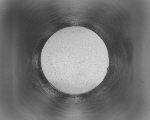 X0000068850646200606021736