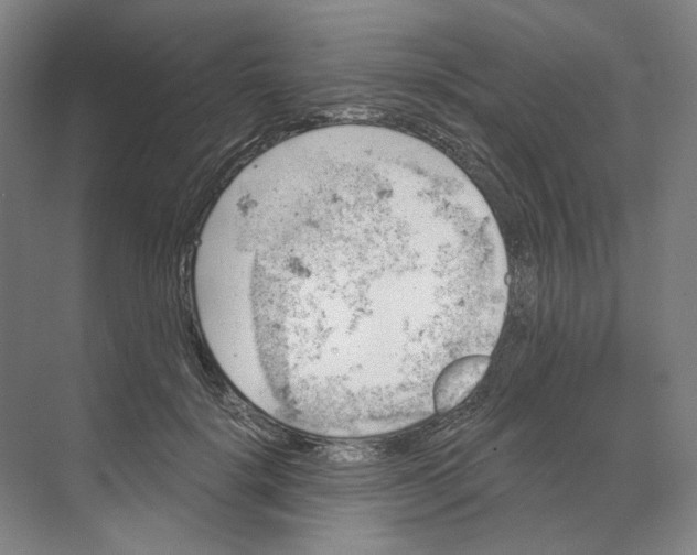 X0000068850652200606021736