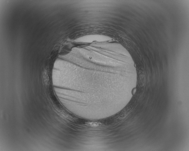 X0000068850654200606021736