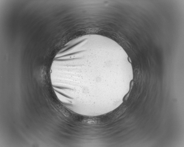 X0000068850655200606021736