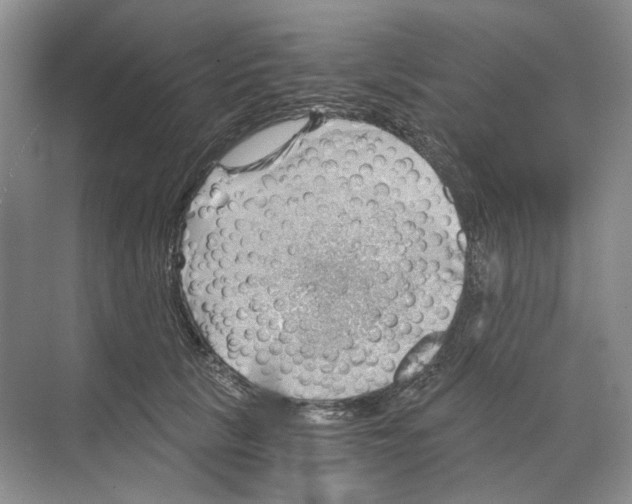 X0000068850657200606021736