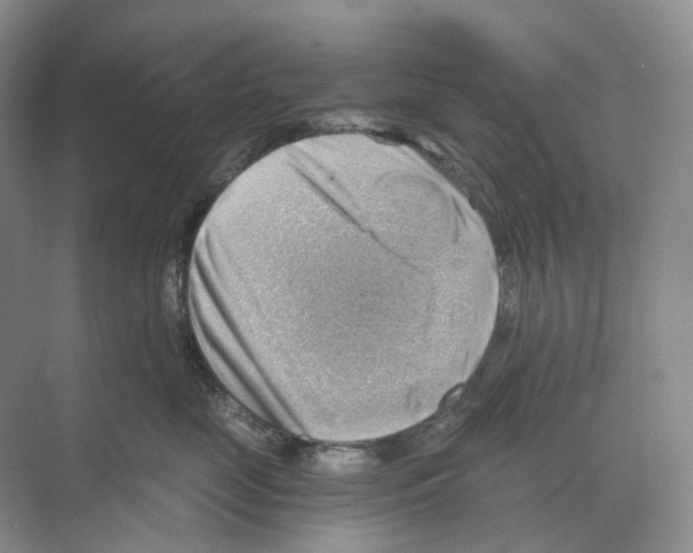 X0000068850669200606021736