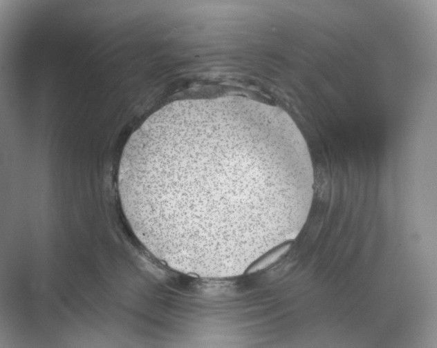 X0000068850670200606021736