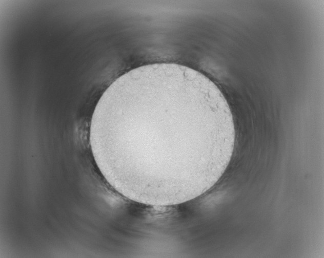 X0000068850672200606021736