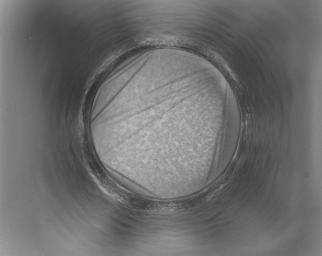 X0000068850674200606021735