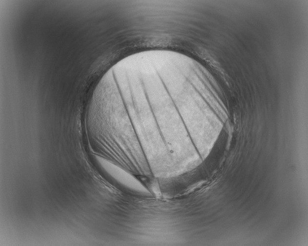X0000068850681200606021735