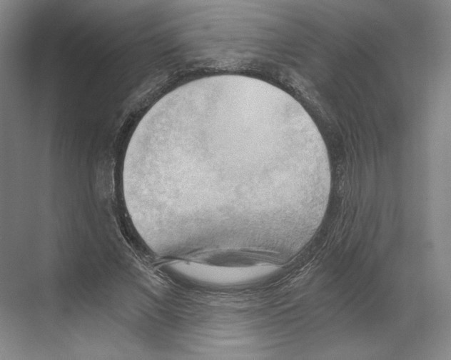 X0000068850685200606021735