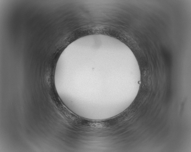 X0000068850698200606021735