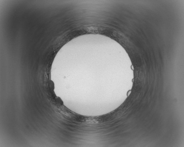 X0000068850702200606021735