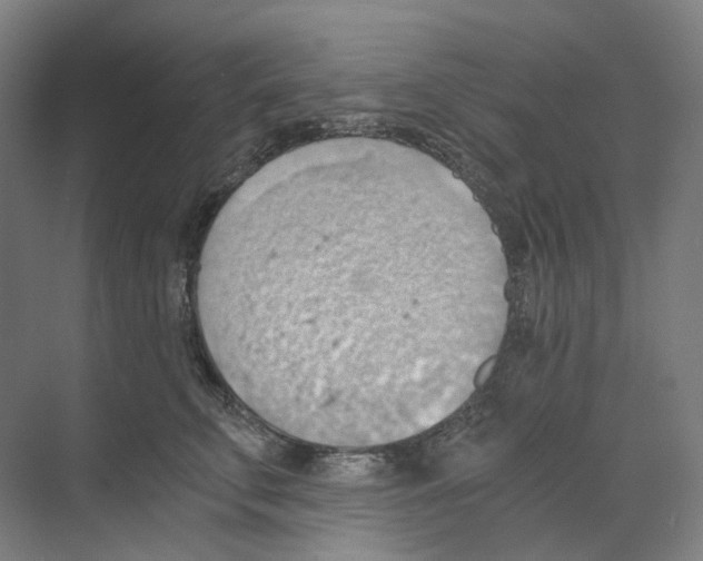 X0000068850711200606021735