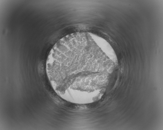 X0000068850715200606021735