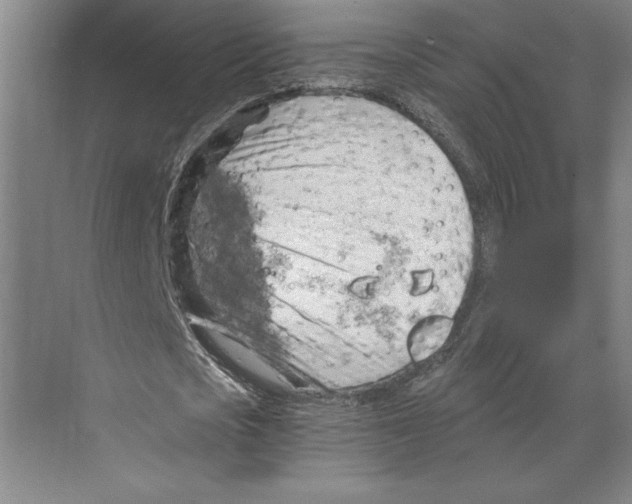 X0000068850721200606021734