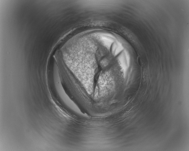 X0000068850722200606021734